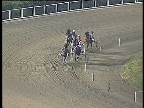 Trotto 15/12/2017 - 2ª prova di qualifica