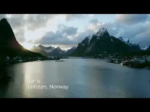 Kvalvik Baits & Attractants - Our Story