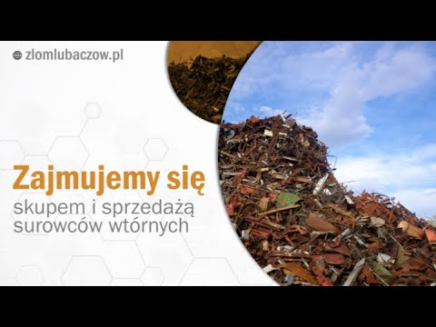 Zobacz filmy filmy