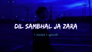 Dil Sambhal Ja Zara  Slowed + Reverb  Lofi Song