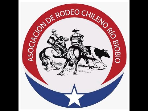 Tercera Serie Libre - Club de Rodeo Santa Barbara - Asoc Rio Bio Bio