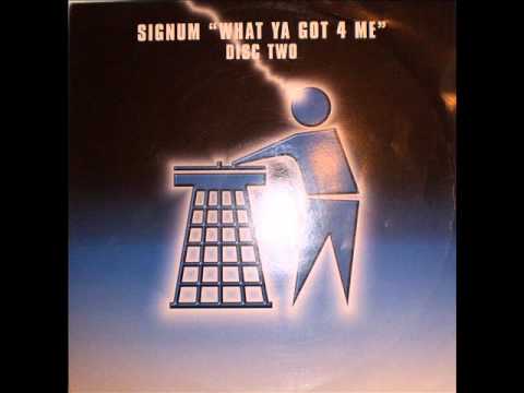 Tidy Trax presents - Signum - What ya gt 4 me (original vocal mix)