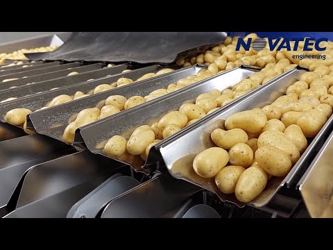 Novatec S.A. - Washing, Weighing & Packing Line for Baby Potatoes