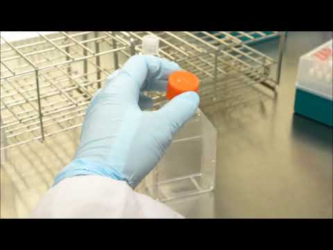 IUCN分類における絶滅の危険性を示す図。