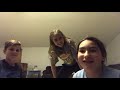 Fortnite Dance Challenge