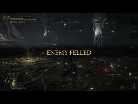 ELDEN RING Cemetery Shade Boss Fight