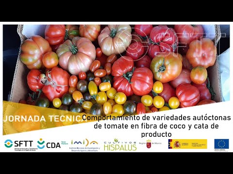 , title : 'Jornada Tomate Tradicional CIFEA Torre Pacheco'