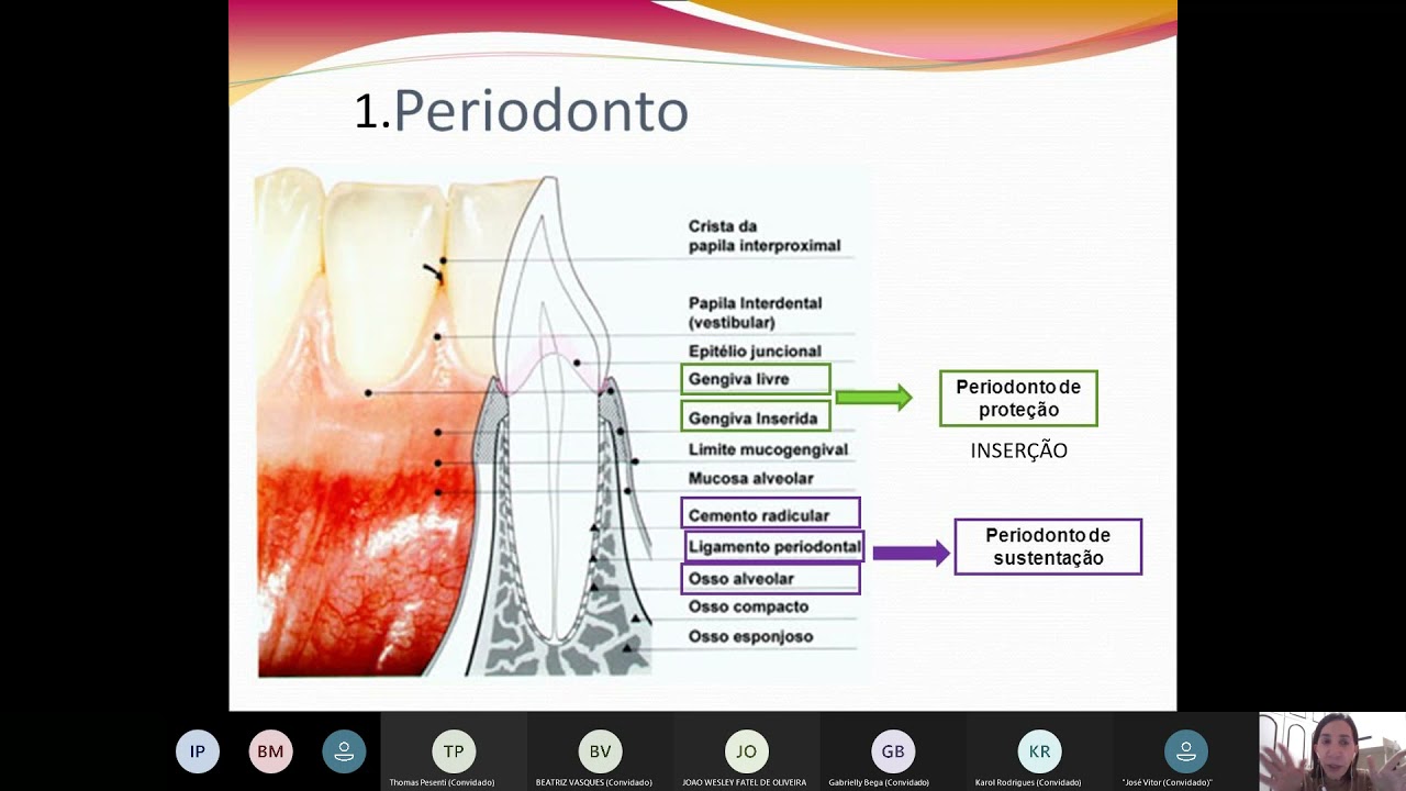 ECO AULA 7 - MICROBIOLOGIA DA DOENÇA PERIODONTAL
