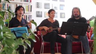 Schwarz Rot Braun - The Punkelelics