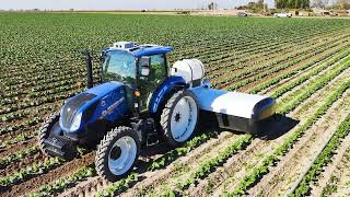 Grow Smarter: How Precision Ag Delivers ROI