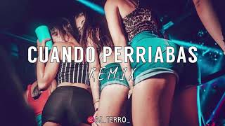 CUANDO PERRIABAS REMIX - BAD BUNNY - DJ TERRO