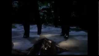 Tom Paris and Kathryn Janeway are Salamanders