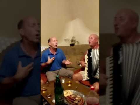 Zuhdija Zule Redzic - Koktel pjesama iz 7 osmina.