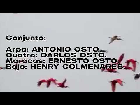 DISTANCIAS DEL ALTO APURE. VIDAL COLMENARES. GUANARITO PORTUGUESA.