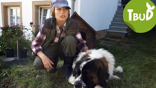 Hundeherz (Folge 1) | Tiere bis unters Dach