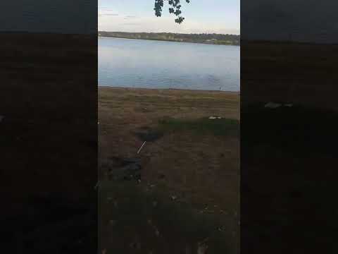 Nedeia, Maceșu septembrie 2022