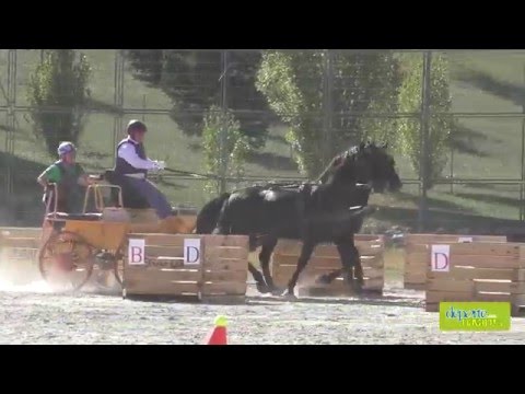 Campeonato Navarro de Enganches 1