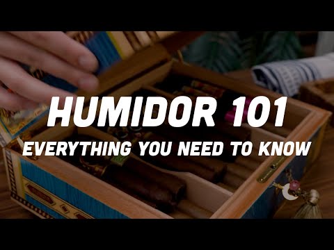 Humidor 101: Everything You Need to Know