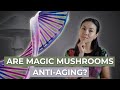 Doctor Explains Longevity Effects Of Psilocybin