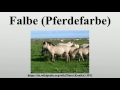 Falbe Pferdefarbe