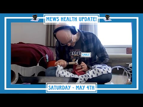Mews Health Update! - Saturday - May 4th