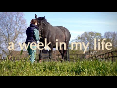 M.L.V in Germany (Red by the Rose ver.)