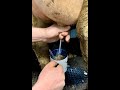 MILK STRAIGHT FROM A COW S TEAT THIS IS THE PERFECT COFFEE