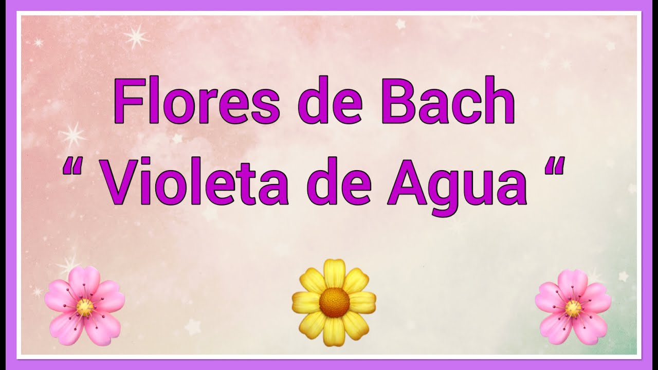 Flores de Bach “ Violeta de agua “ Water violet “ 💐