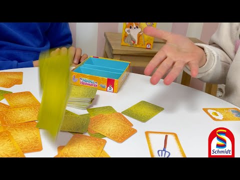 DIE NADEL IM HEUHAUFEN | Schmidt Spiele (Erklärvideo)
