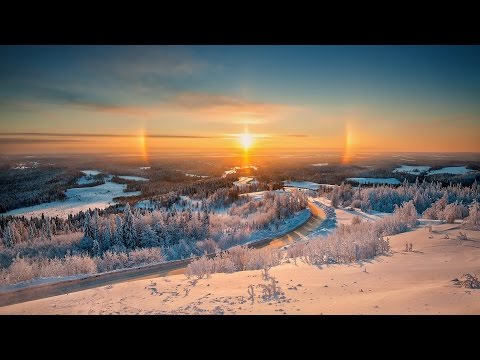 Oshi x MadBliss - Grey