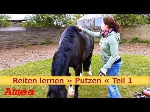 Hochwertiger Prostata-Adenokarzinom melkoatsinarnaya Prostata Saft braun