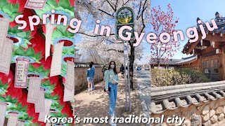 Going to GYEONGJU for cherry blossoms 🌸 spring in Korea’s most traditional city (you must visit!!)