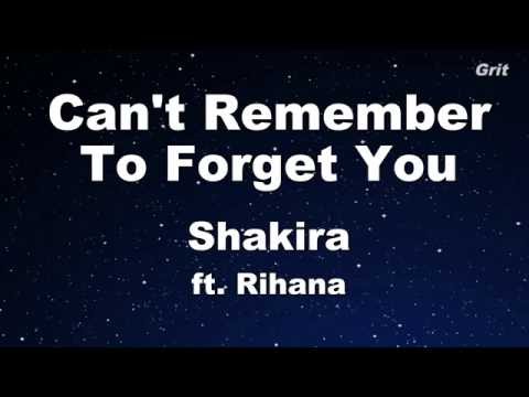 Can't Remember to Forget You ft. Rihanna - Shakira Karaoke 【With Guide Melody】 Instrumental