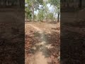 ️ Gire Hai To Kya Hai ️ Sambhal Jayenge ️ ️ Status Shortsvideo