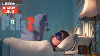 The Secret Life Of Pets 2 | It’s Gonna Be a Lovely Day (Lyric Video) | Illumination