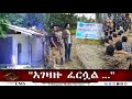 EMS Special አገዛዙ ፈርሷል ፋኖ አበበ ፈንታው Sep 2025