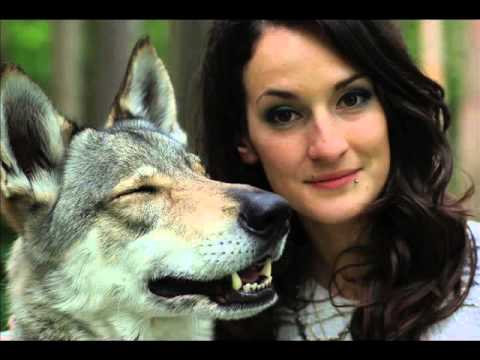 download lagu mp3 mp4 Elevage De La Louve Blanche, download mp3 Elevage De La Louve Blanche free download, download mp3 Elevage De La Louve Blanche