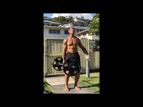 Day 336 FitPro Hawaii Workout - Overhead Press + Suitcase Dead Lift - April 19, 2021, 3:44 pm
