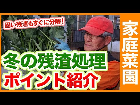 クルミには毒性があるのでしょうか？落ち葉を堆肥に入れてもいいですか？  庭園