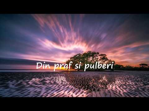 FLORIN STEFAN -  Din praf si pulberi