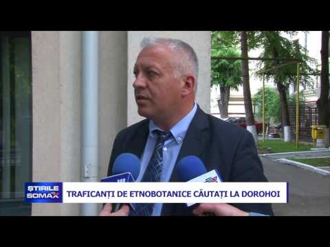 TRAFICANTI DE ETNOBOTANICE, CAUTATI LA DOROHOI
