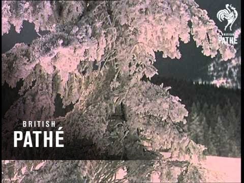 Czech Snow Sports Combined Print Beware - Other Colour Pics Share This Title (1967)