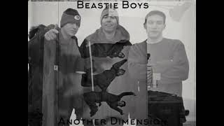 Beastie Boys - Putting Shame In Your Game ( Prunes Mix )( Another Dimension CD )( Rediscovered )