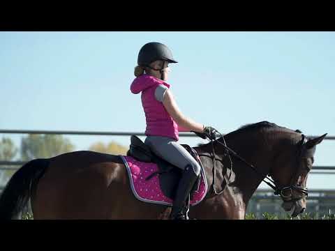 Nici by ESKADRON 2017/2018