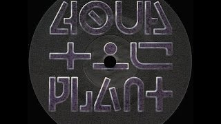 Analog Dynamix -   my house