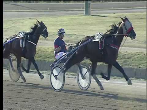 Trotto 01/07/2017 - 1ª corsa