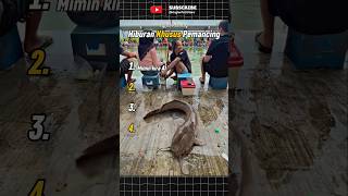 Download lagu Hiburan Khusus Pemancing Part 14 😂 mp3