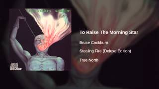 Bruce Cockburn - To Raise The Morning Star
