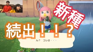 【あつまれどうぶつの森🍃#21】新種が続出する島！！？ #Japan #StayHome #うちで過ごそう #ゲーム実況 #あつ森 #Switch #兄妹 #game #おうち時間