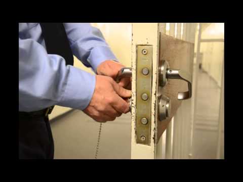 Nidza Dzidza-Posveta